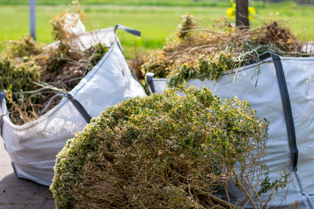 Best Mattress Removal Service  in Burr Ridge, IL